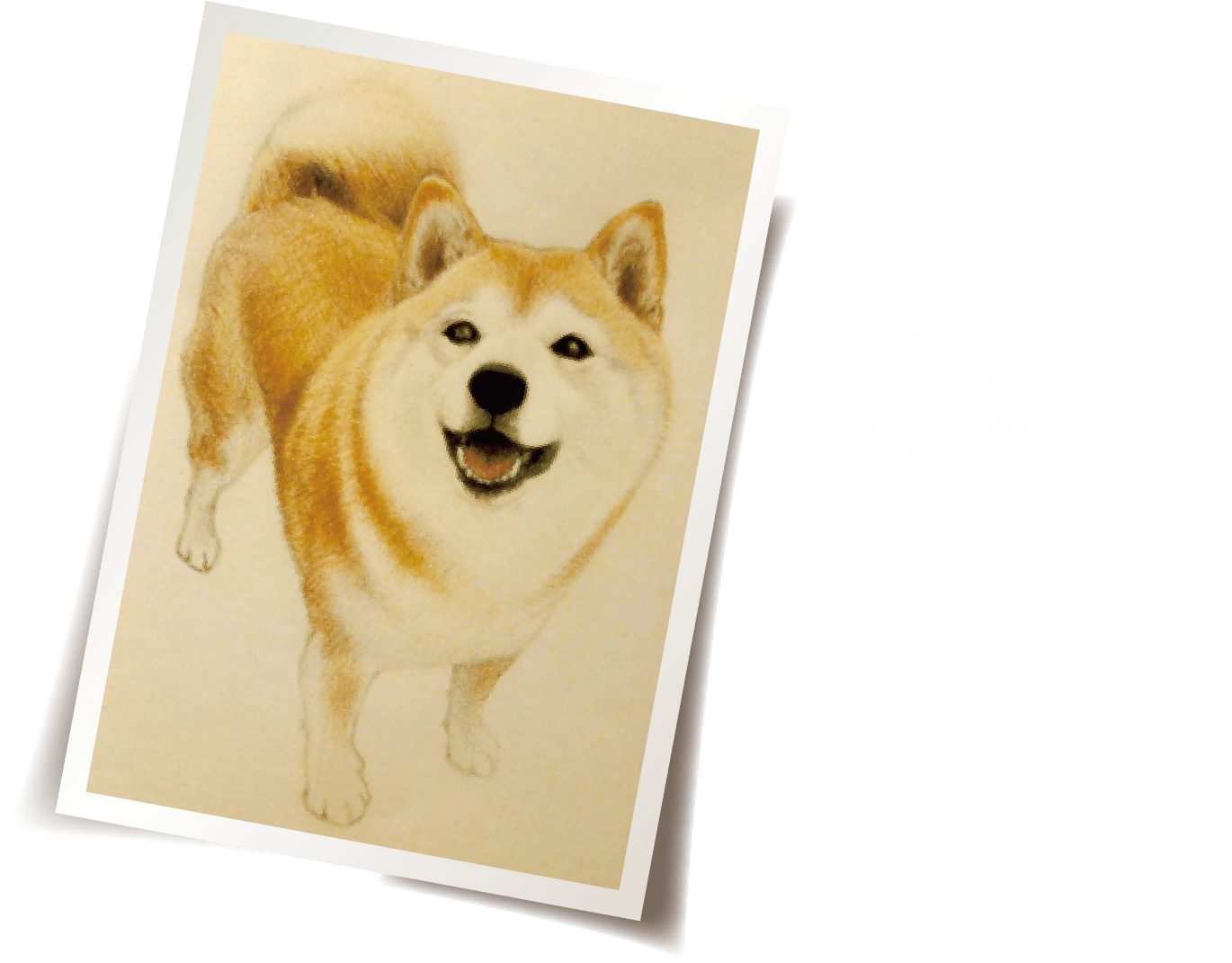 ゆず
